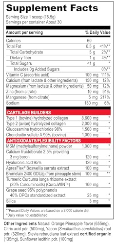 Joint and Cartilage Support, 30 Servings P670