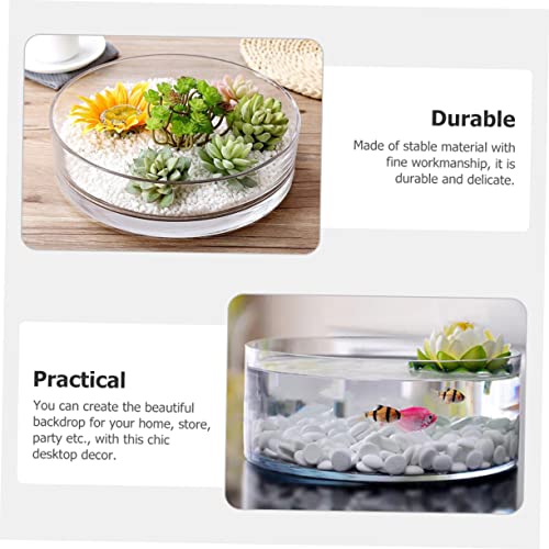 Round Glass Hydroponic Vase Terrarium Planter M731846