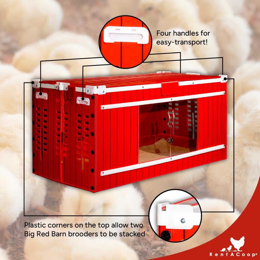 Big Red Barn Chick Brooder Set with Chick Heating Plate, Two 2.5 Pound Chick Feeders, Two 64 Ounce Chick Drinkers, and Jute Liner G33742
