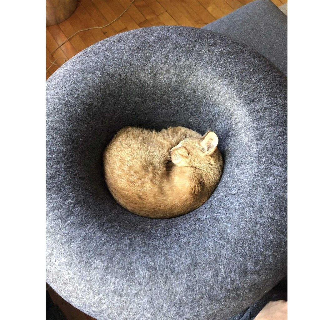 Cat Hideaway Cave M781