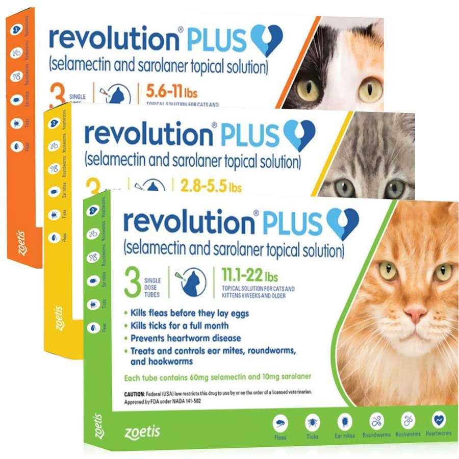 Revolution Plus for Cats 11.1 R74932