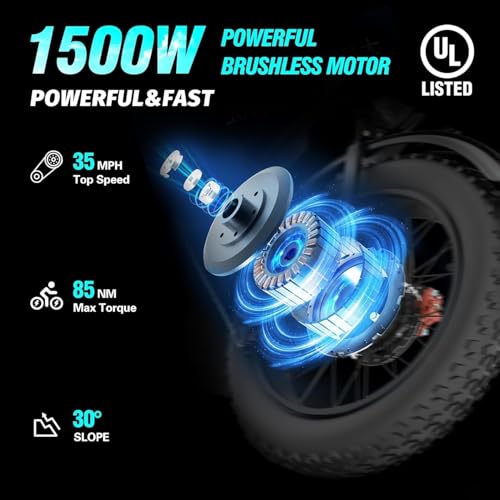 52V 40AH 20" Fat Tire Electric Bike F492