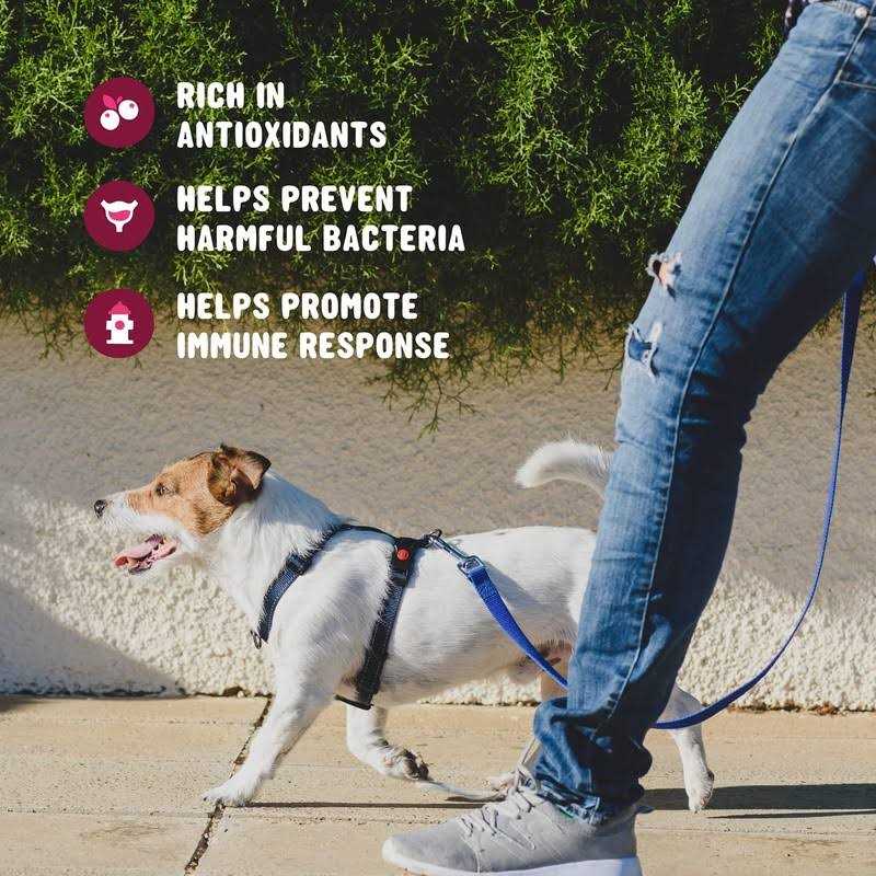 Cranberry Supplement for Dogs V291402