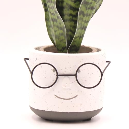 Green 4 inch Face Planter Pot with Drainage D840