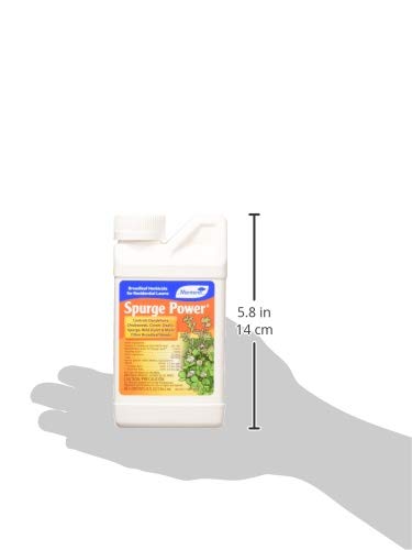 One Pint Spurge Power Herbicide Z337