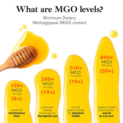 Manuka Honey MGO 850+ UMF 20+ Raw Organic 250g F257
