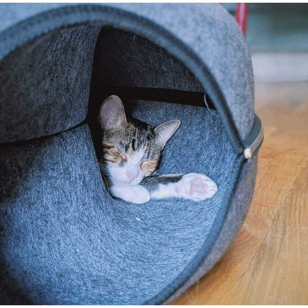 Cat Hideaway Cave M781