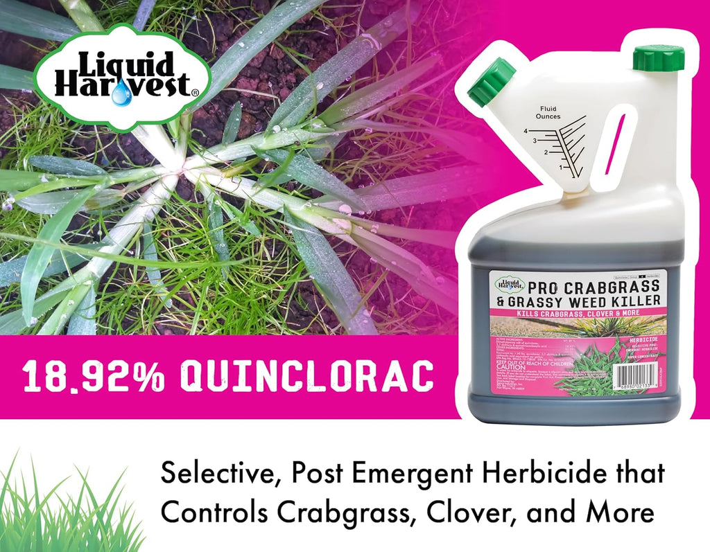64 ounces Concentrated Crabgrass Herbicide B934