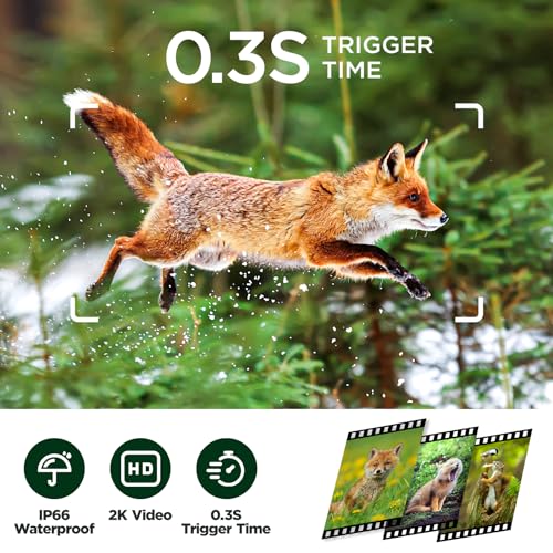 2K 36MP Trail Camera with Night Vision D54726