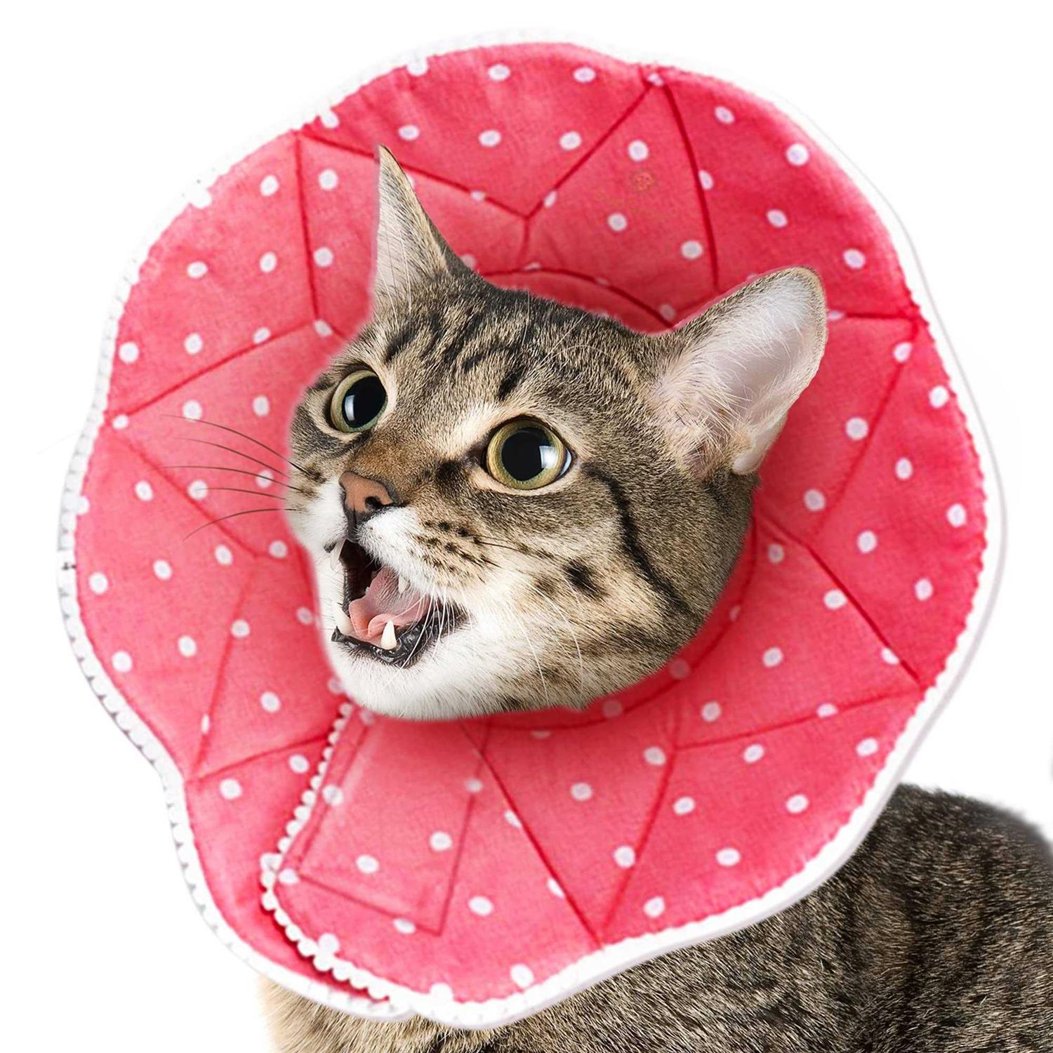 Soft e Collar for Small Dogs & Cats U534
