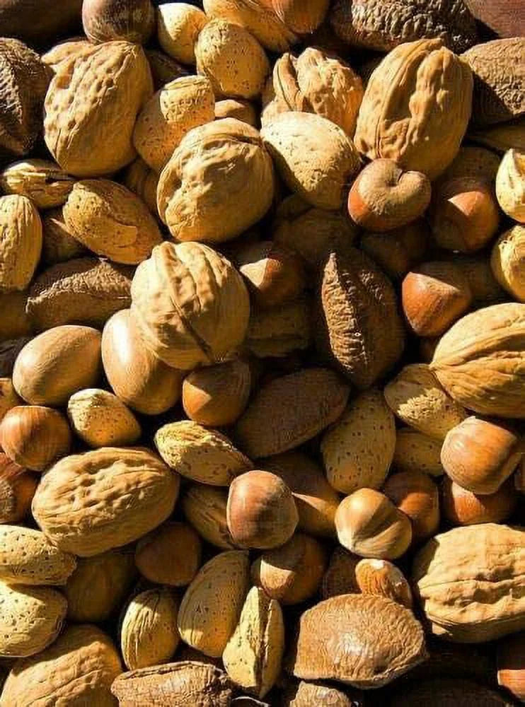Raw In-shell Whole Mixed Nuts 4 LB L84608