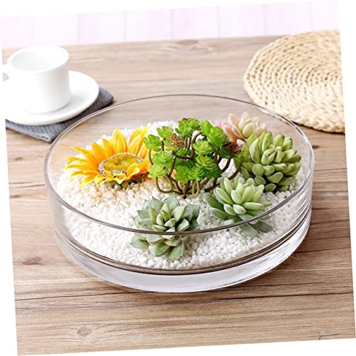 Round Glass Hydroponic Vase Terrarium Planter M731846