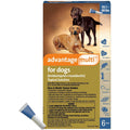 Advantage Multi for Dogs W129346