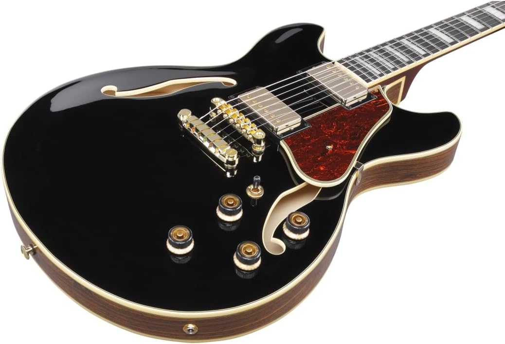Black Semi-hollowbody Electric Guitar E4390