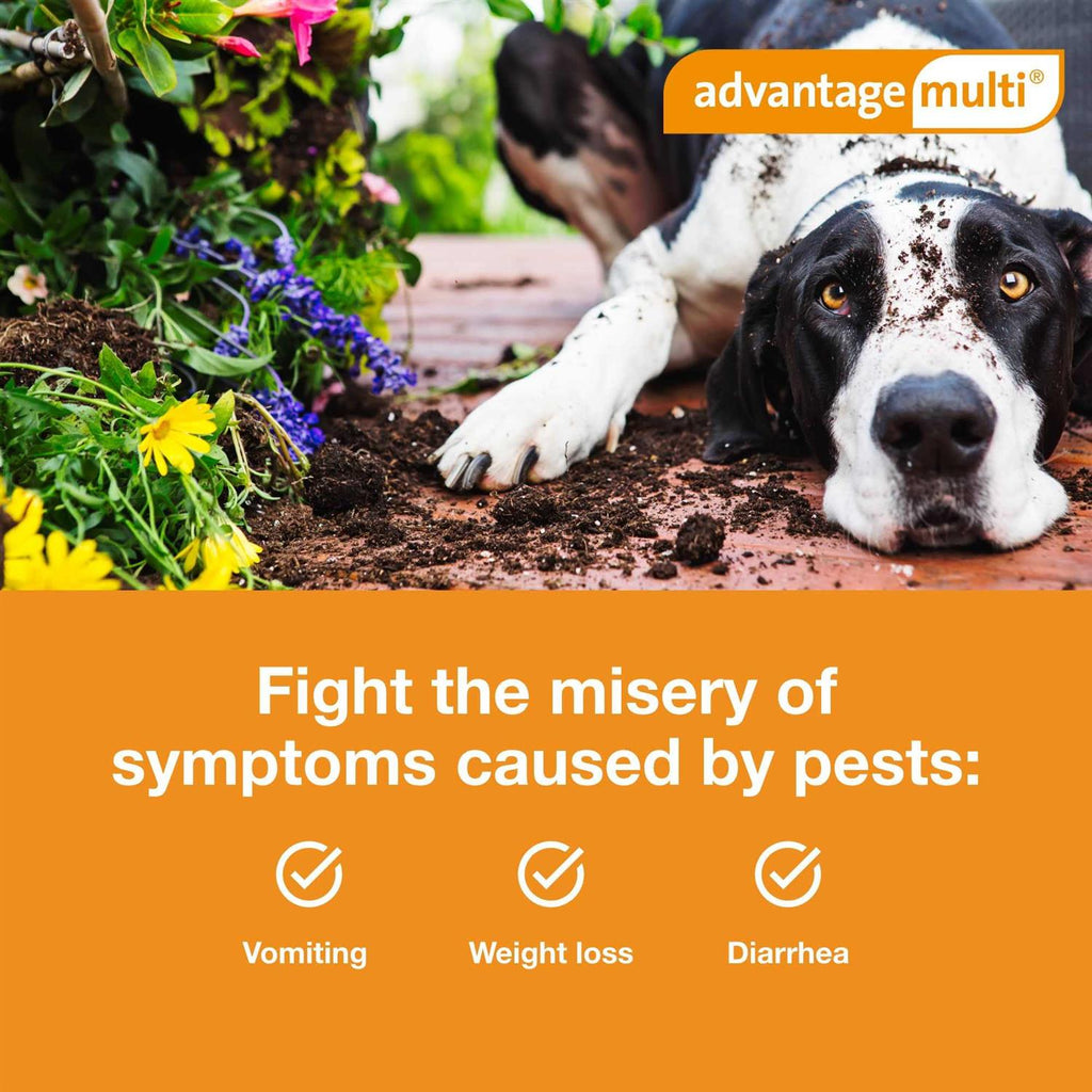 Advantage Multi for Dogs W129346