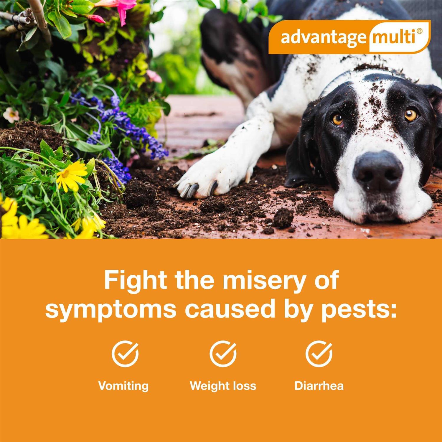 Advantage Multi for Dogs W129346
