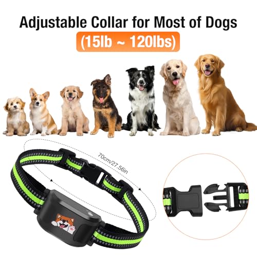 Wireless Dog Fence & Training Collar, White R455187