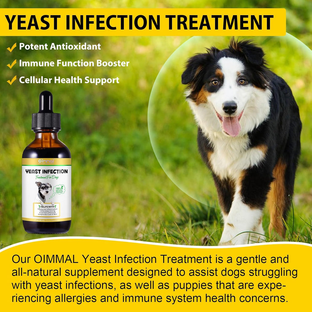 Dog Yeast Infection Treatment N9231