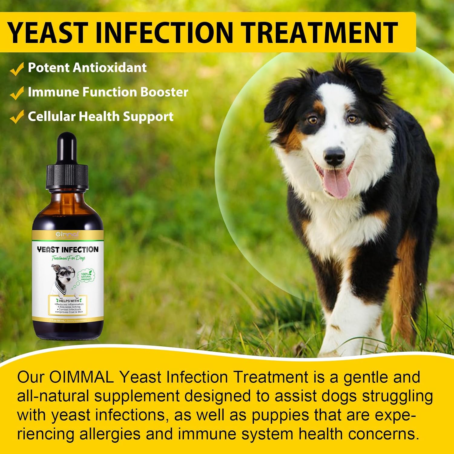Dog Yeast Infection Treatment N9231