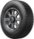 All-Season Radial Tire 275/55R20 113H P43221