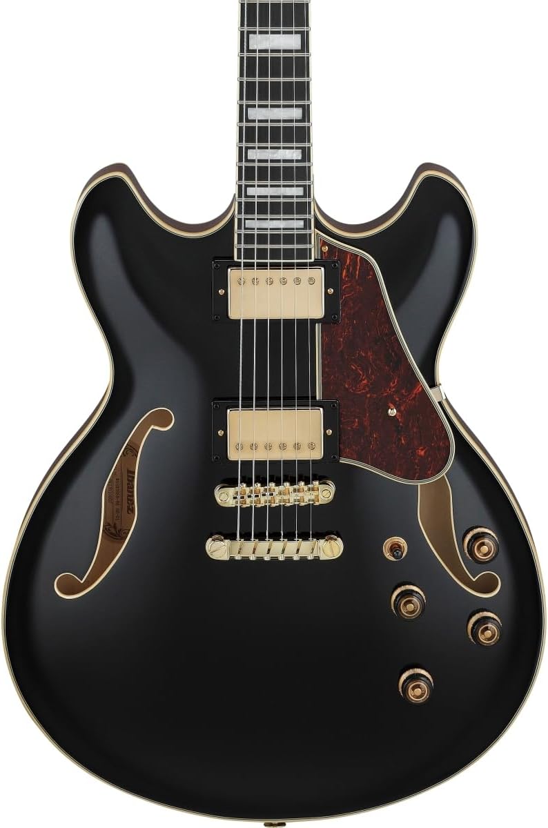 Black Semi-hollowbody Electric Guitar E4390
