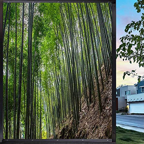 17.7" by 39" Bamboo Green Window Film Z9527