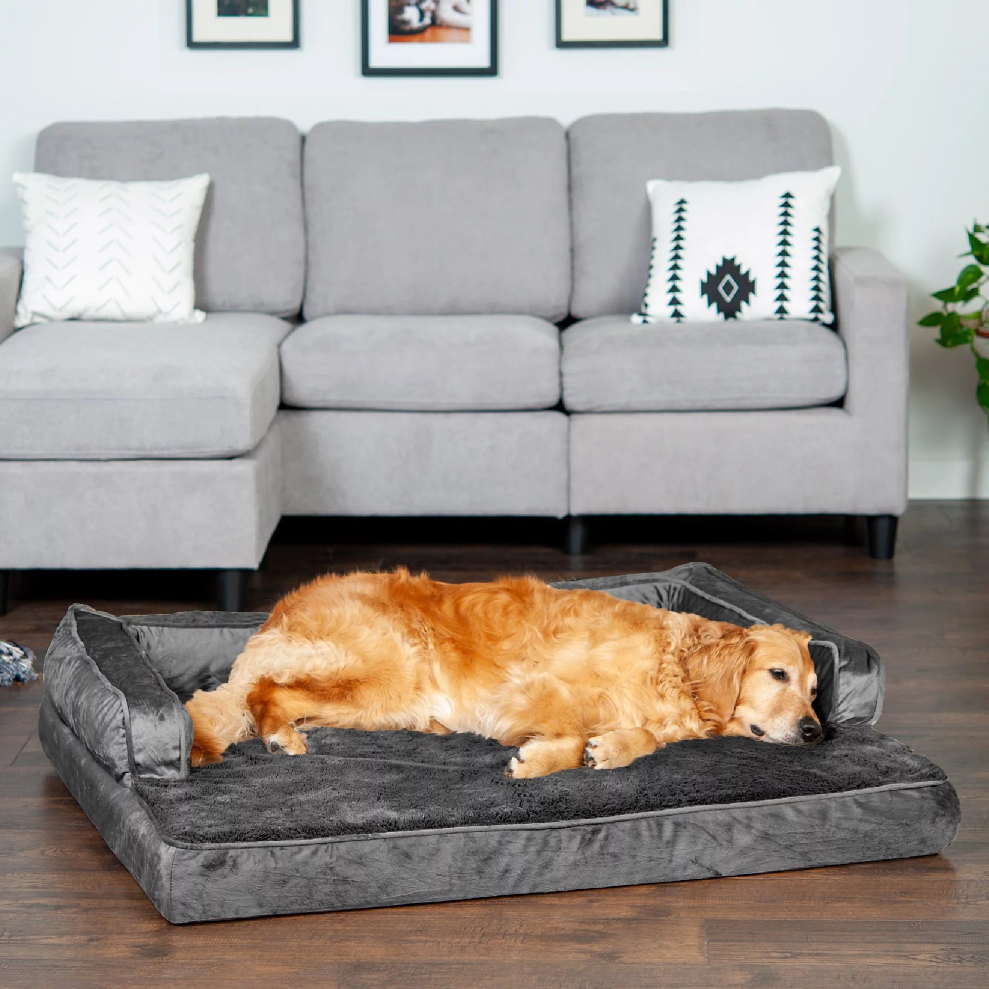Dark Gray Jumbo Plush Velvet Orthopedic Sofa-Style Pet Bed Y417448