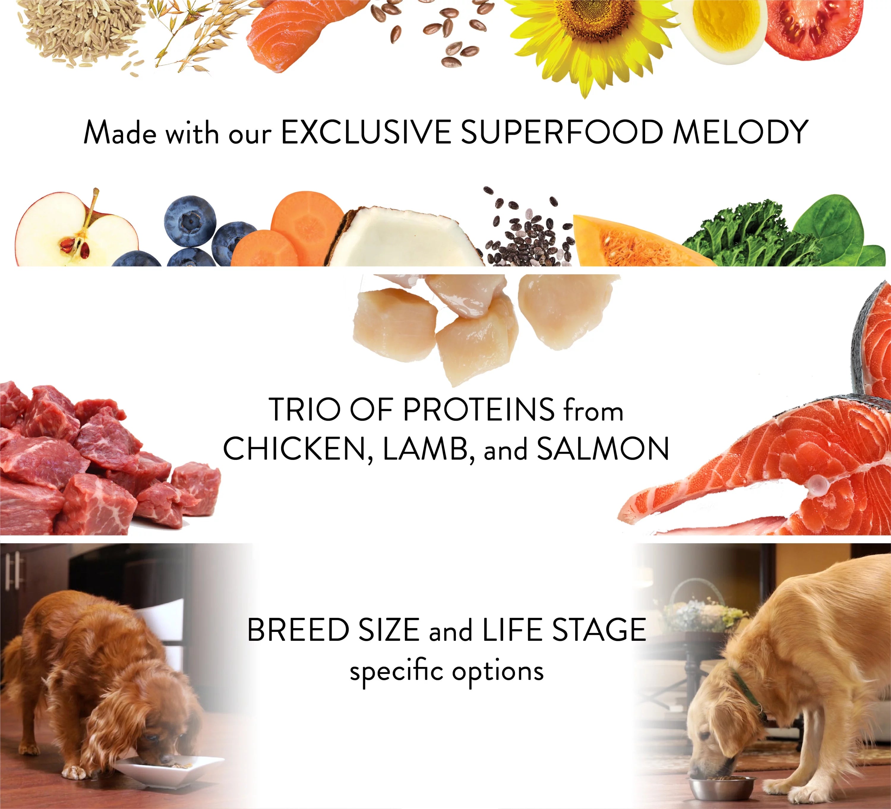 8 Lb. Bag Dry Dog Food E15261