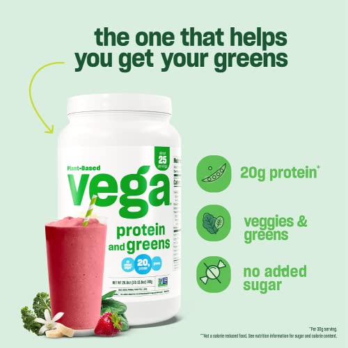 Chocolate Plant Based Pea Protein Powder, 1lbs G3220