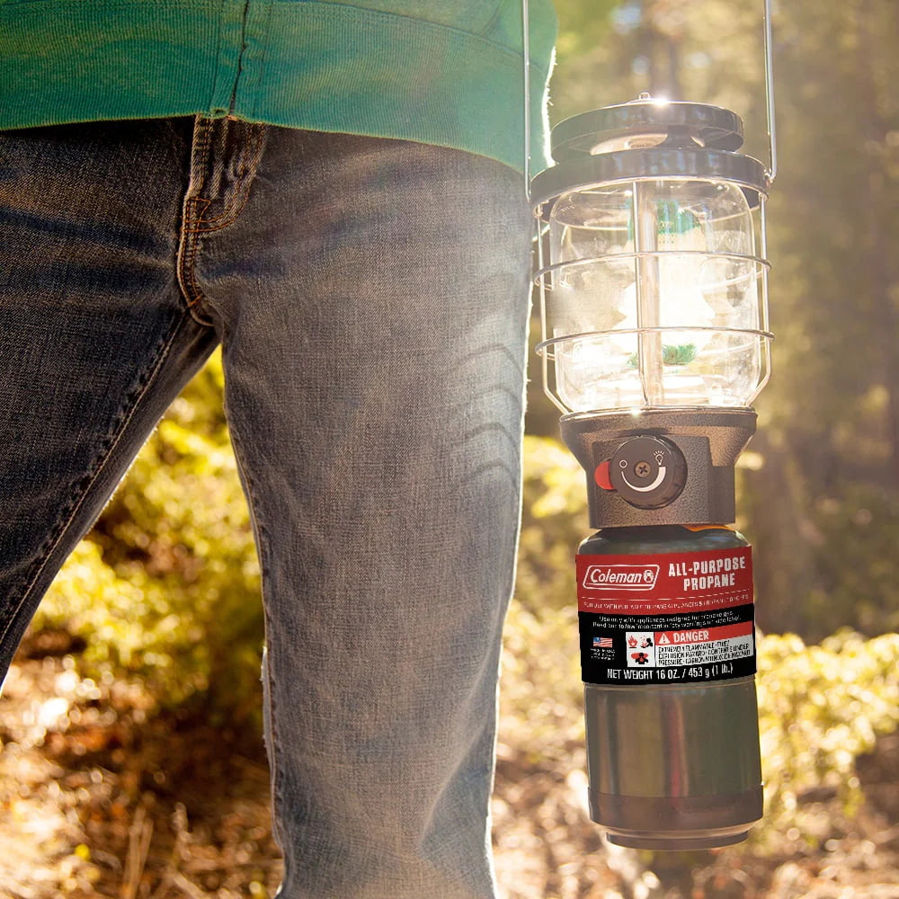 16 oz 2-Pack Propane Gas Cylinder Y9014