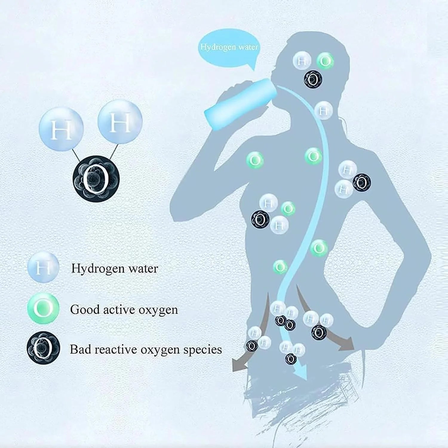 Portable Hydrogen Water Generator R2134