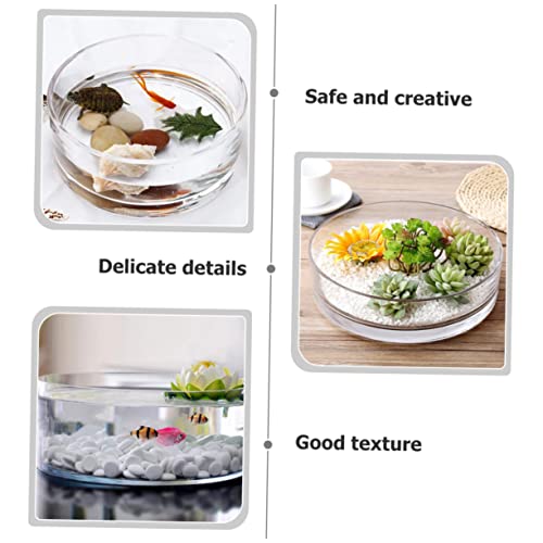 Round Glass Hydroponic Vase Terrarium Planter M731846