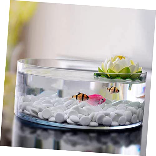 Round Glass Hydroponic Vase Terrarium Planter M731846