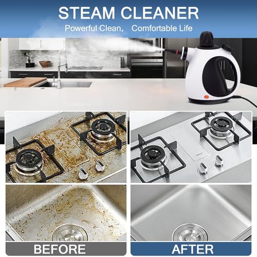 White Handheld Steam Cleaner with 10 Accessory Kit C207