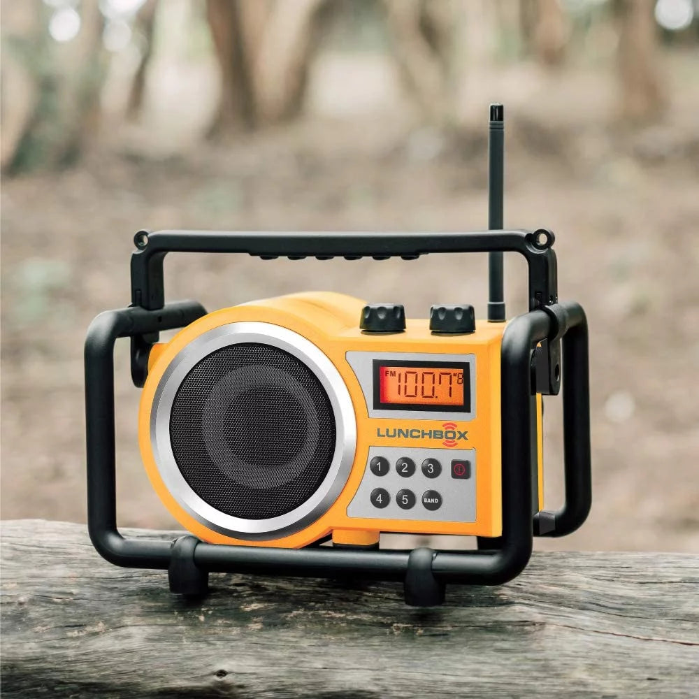 Compact AM and FM Radio R8713