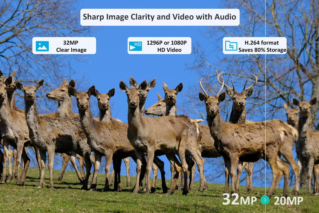 32mp 1296p Trail Camera with 100ft Night Vision Motion Activated Waterproof J4802