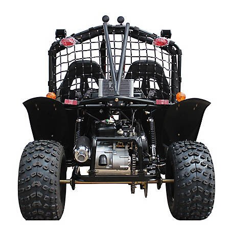 200cc 2 Seater Go-Kart S627705